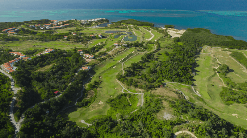 Vista aérea de los terrenos disponibles en Próspera.