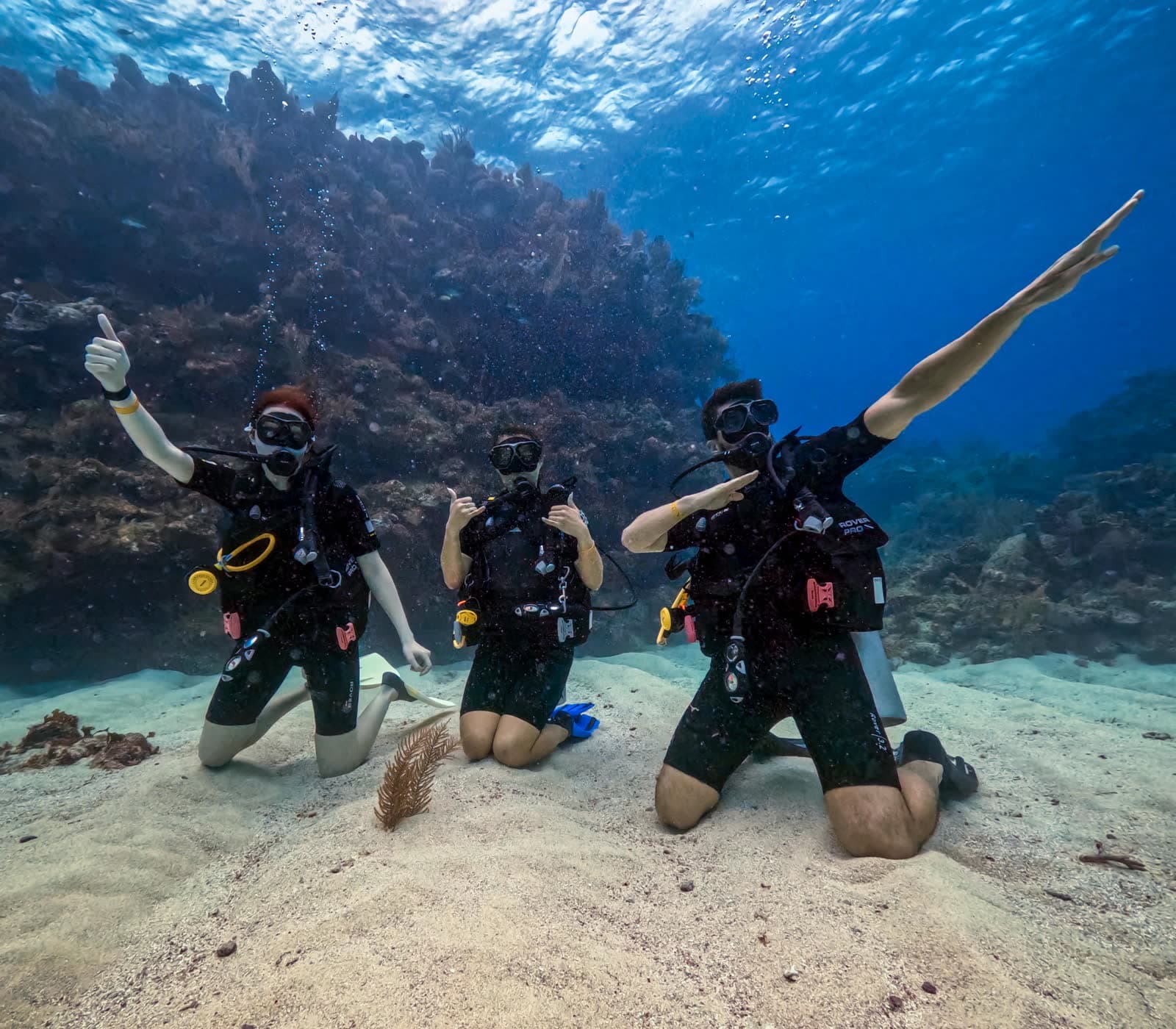 Scuba diver exploring a vibrant coral reef in clear tropical water.
